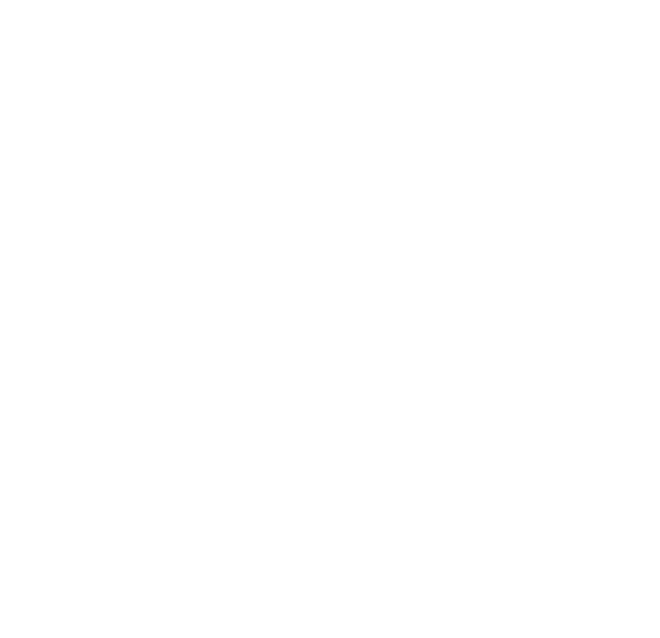 Logo FTMO